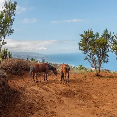 Rural House El Pajal Relax * Санта-Урсула