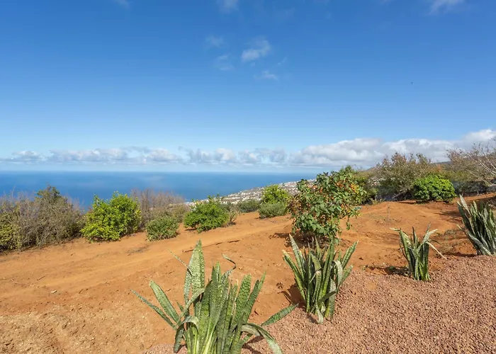 Rural House El Pajal Relax Летний дом *