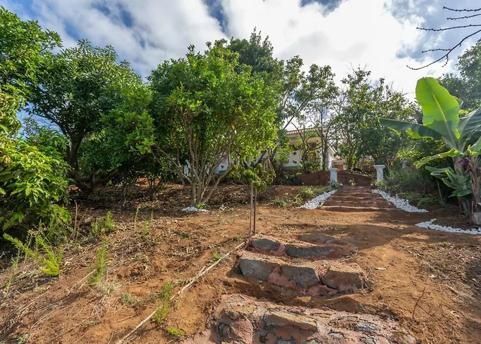 Rural House El Pajal Relax Санта-Урсула