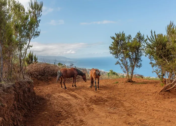 Rural House El Pajal Relax * Санта-Урсула